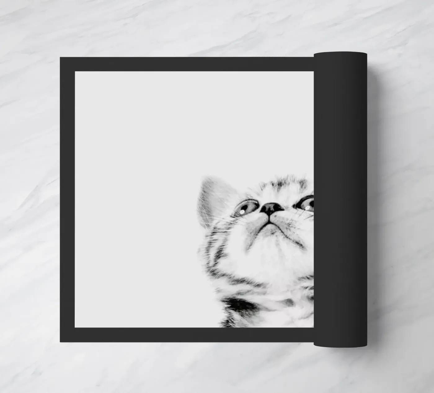 Kitten II zerbino da Paws & Claws