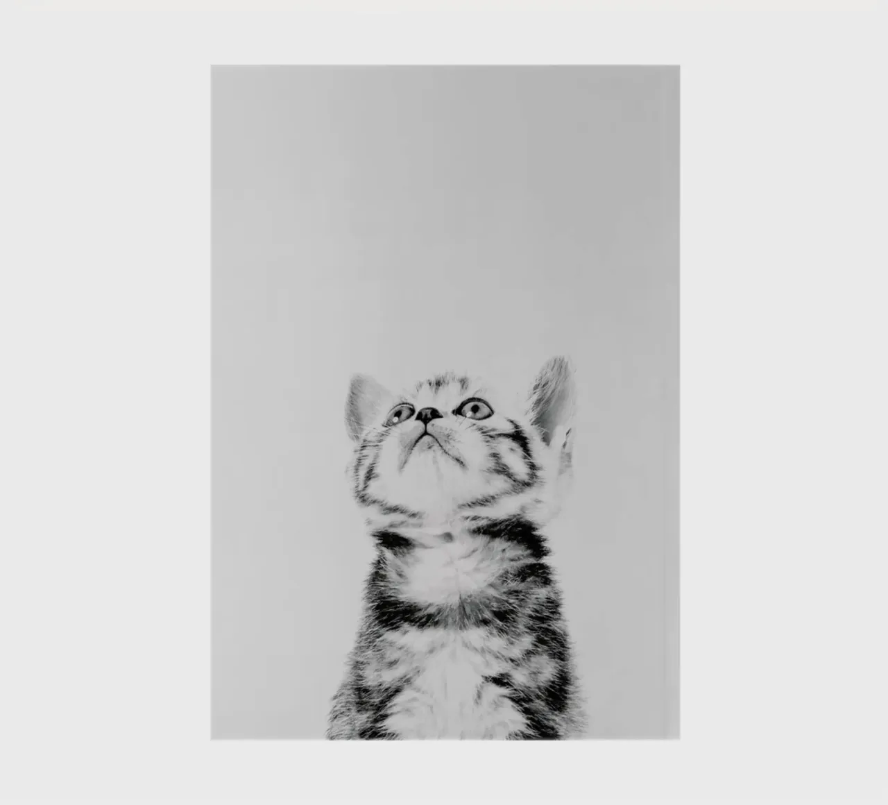 Kitten II notebook by Paws & Claws