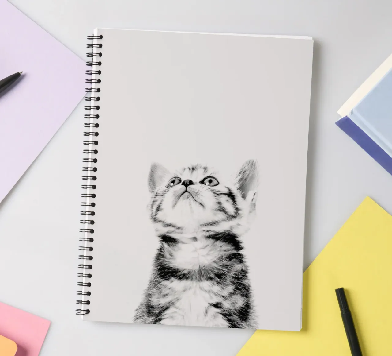 Kitten II spiral notebook by Paws & Claws