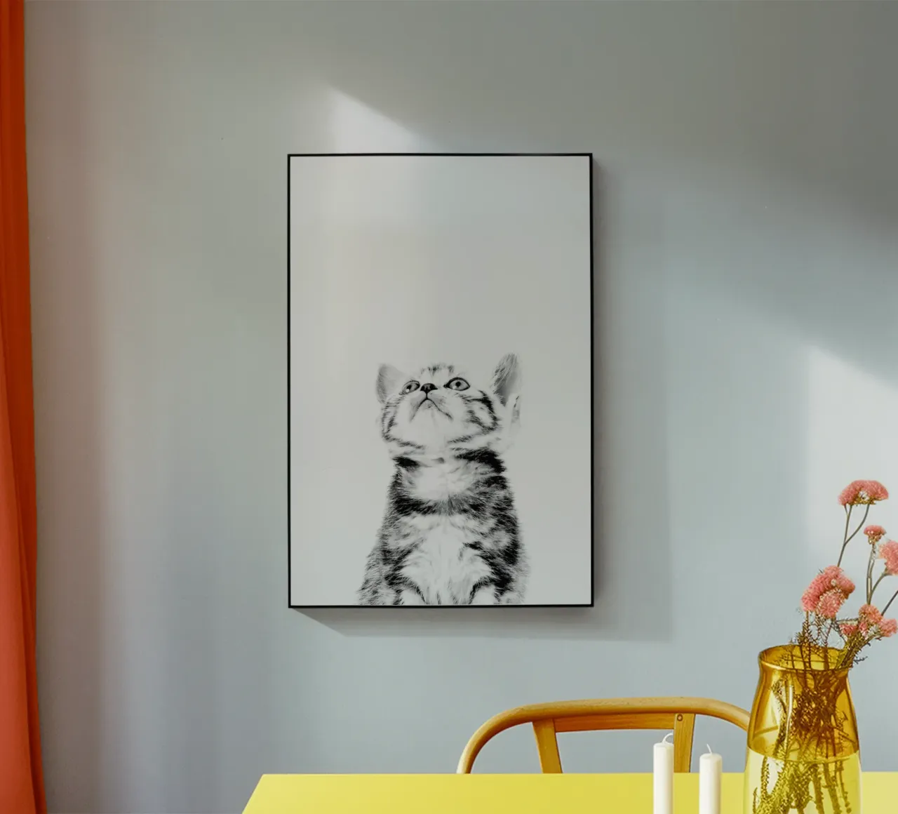 Kitten II plexiglass da Paws & Claws