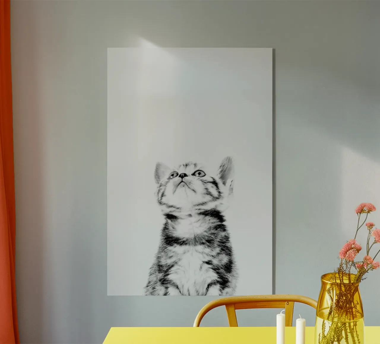 Kitten II plexiglass da Paws & Claws