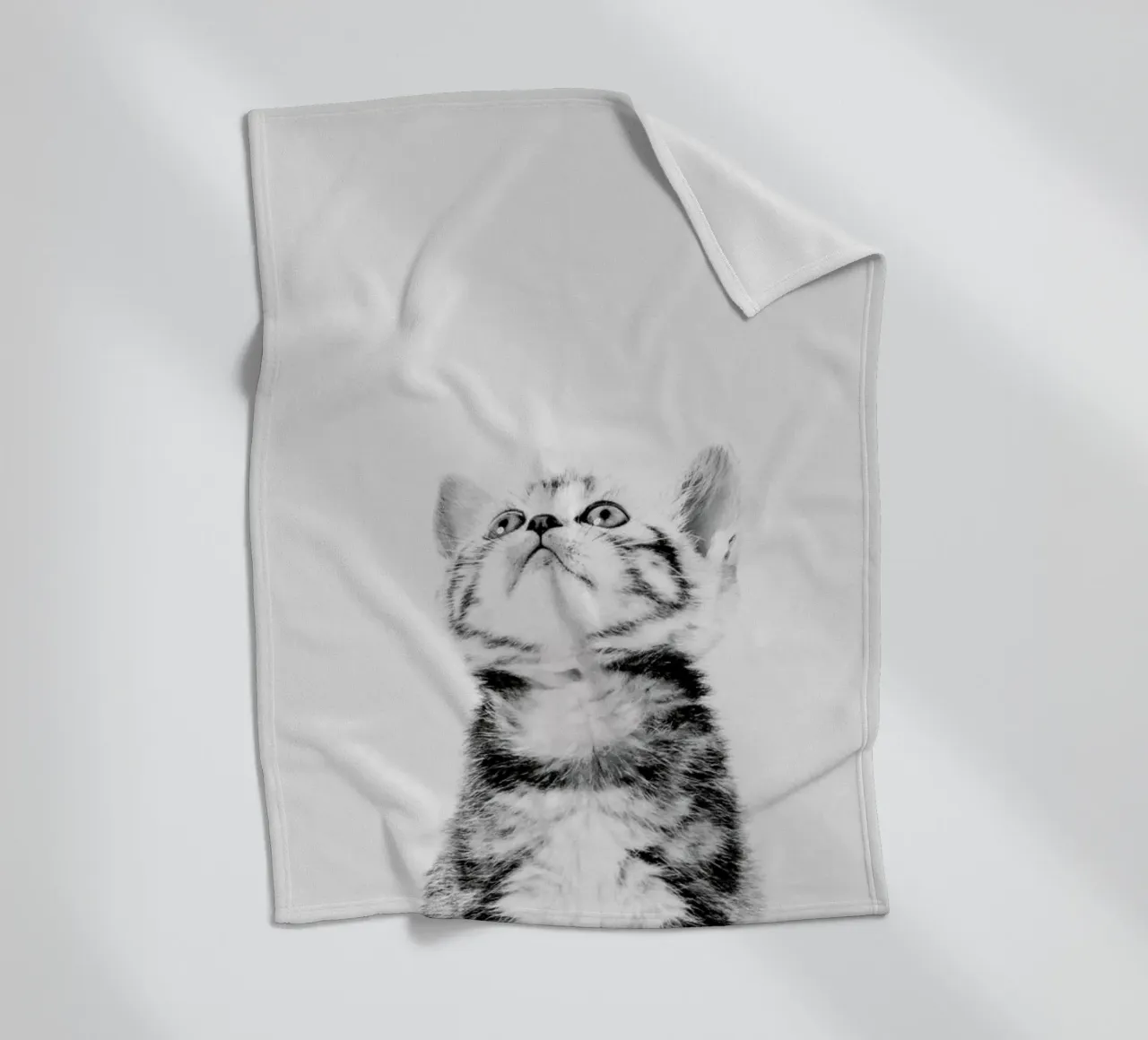Kitten II coperta in pile da Paws & Claws