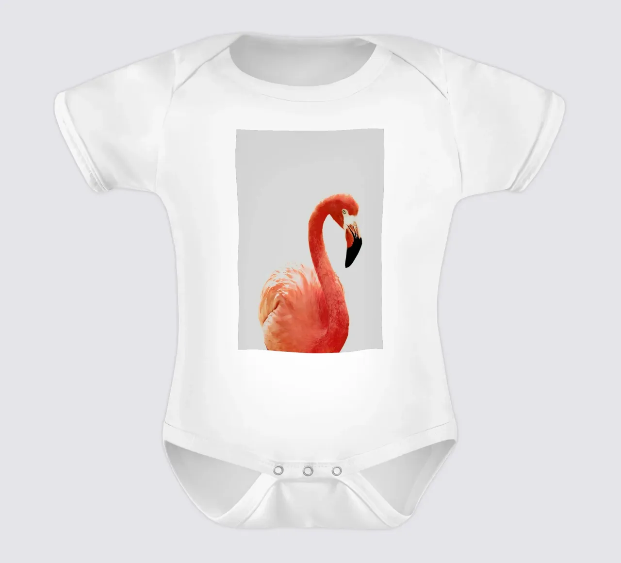 Flamingo II body neonato maniche corte da Paws & Claws