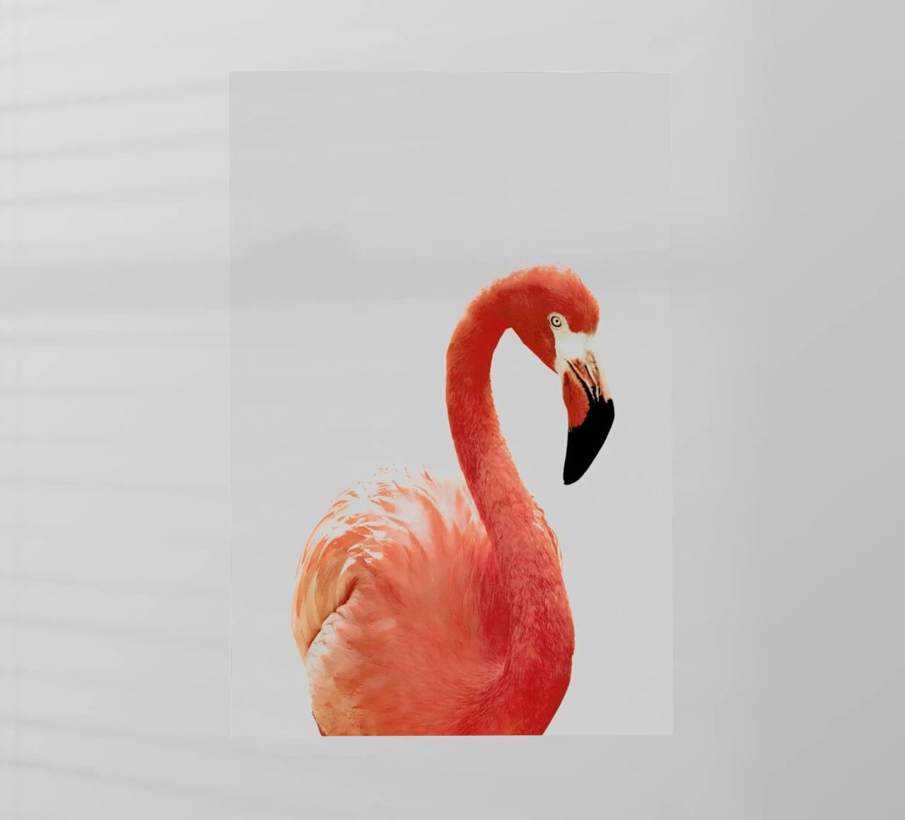 Flamingo II pellicola backlit da Paws & Claws