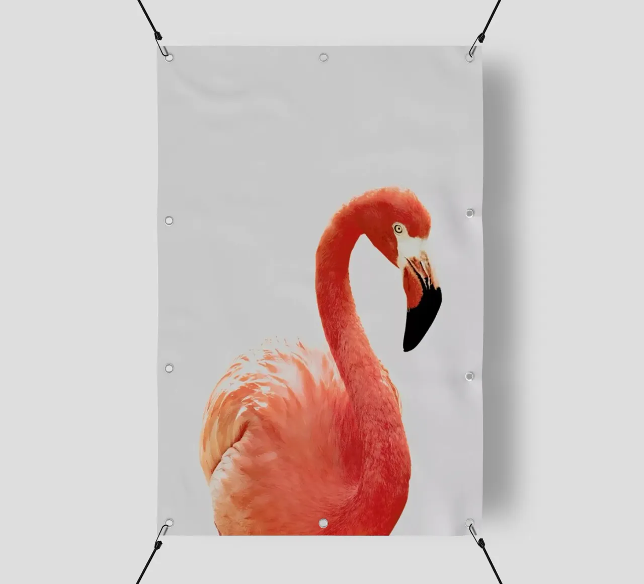 Flamingo II lonas publicitarias de Paws & Claws