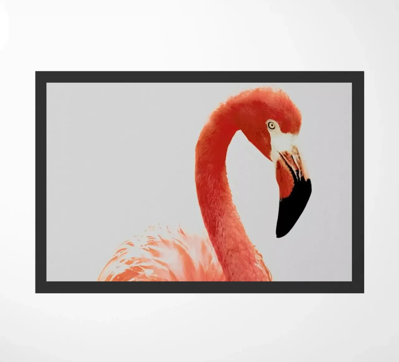 Flamingo II zerbino da Paws & Claws