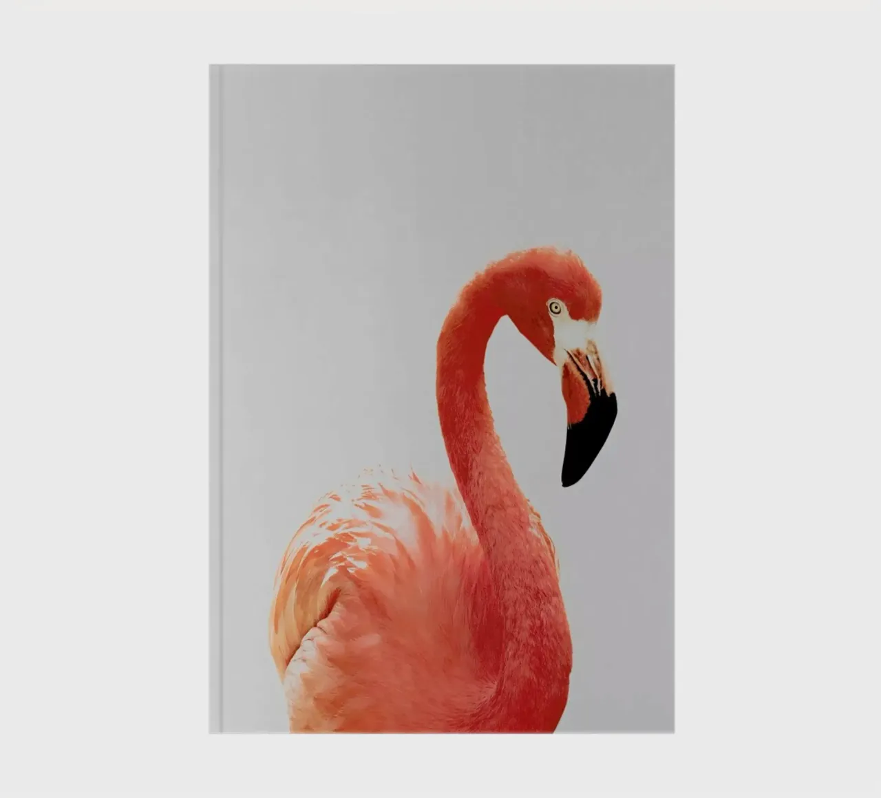 Flamingo II notebook by Paws & Claws
