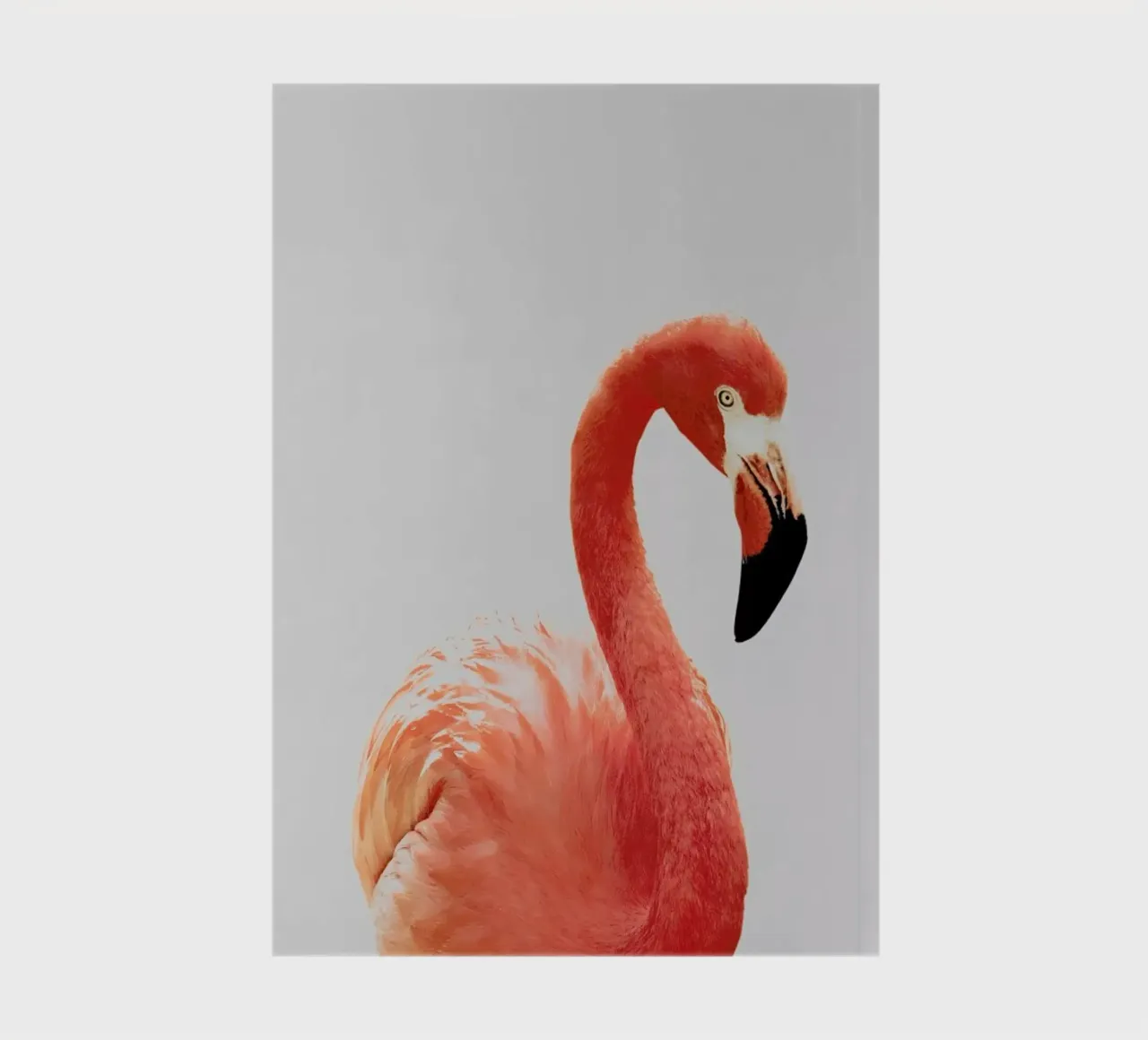 Flamingo II notebook by Paws & Claws