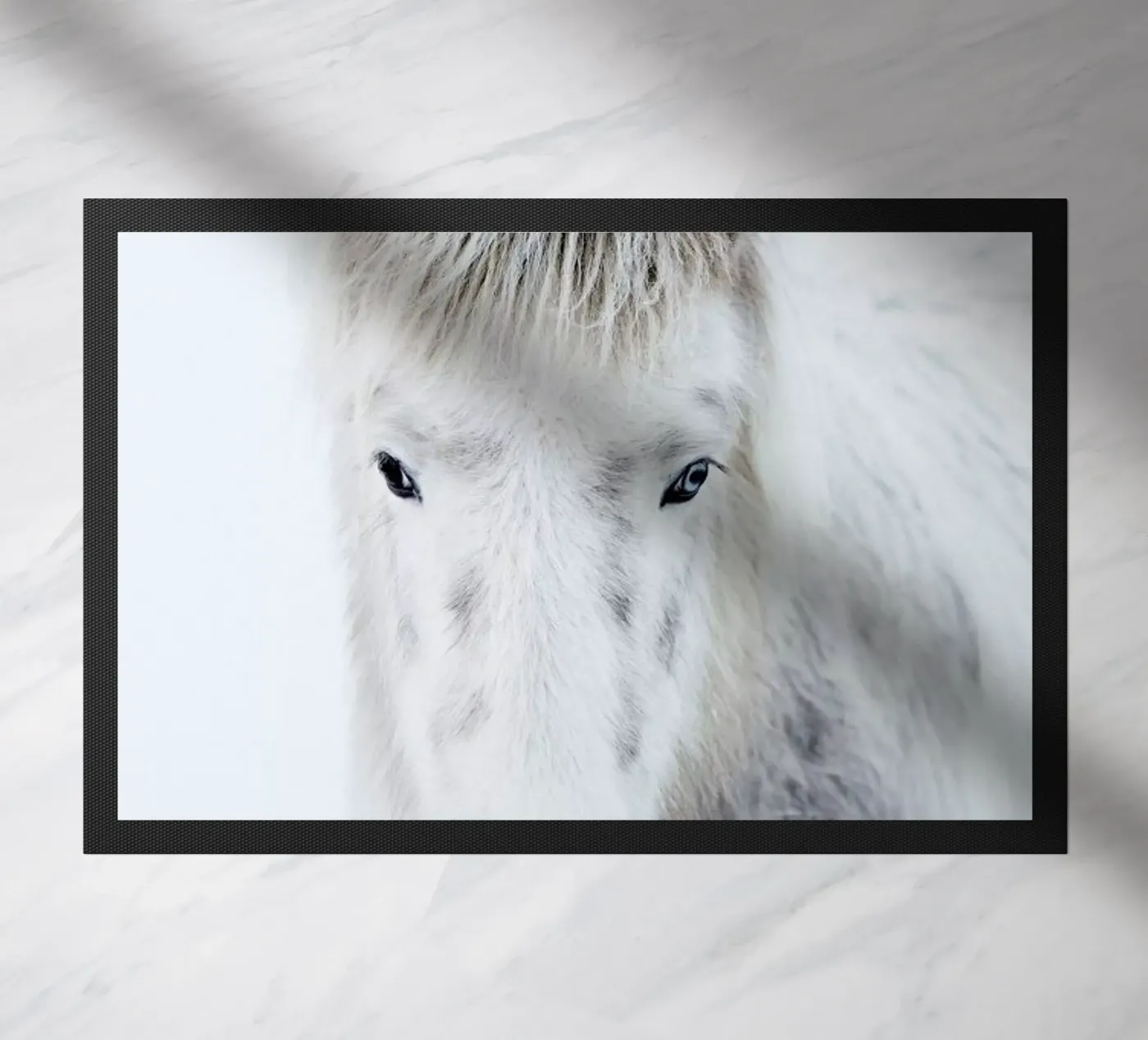 Ghost Horse zerbino da Natural Kingdom