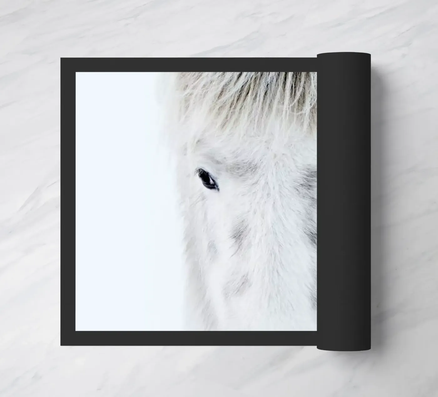 Ghost Horse zerbino da Natural Kingdom