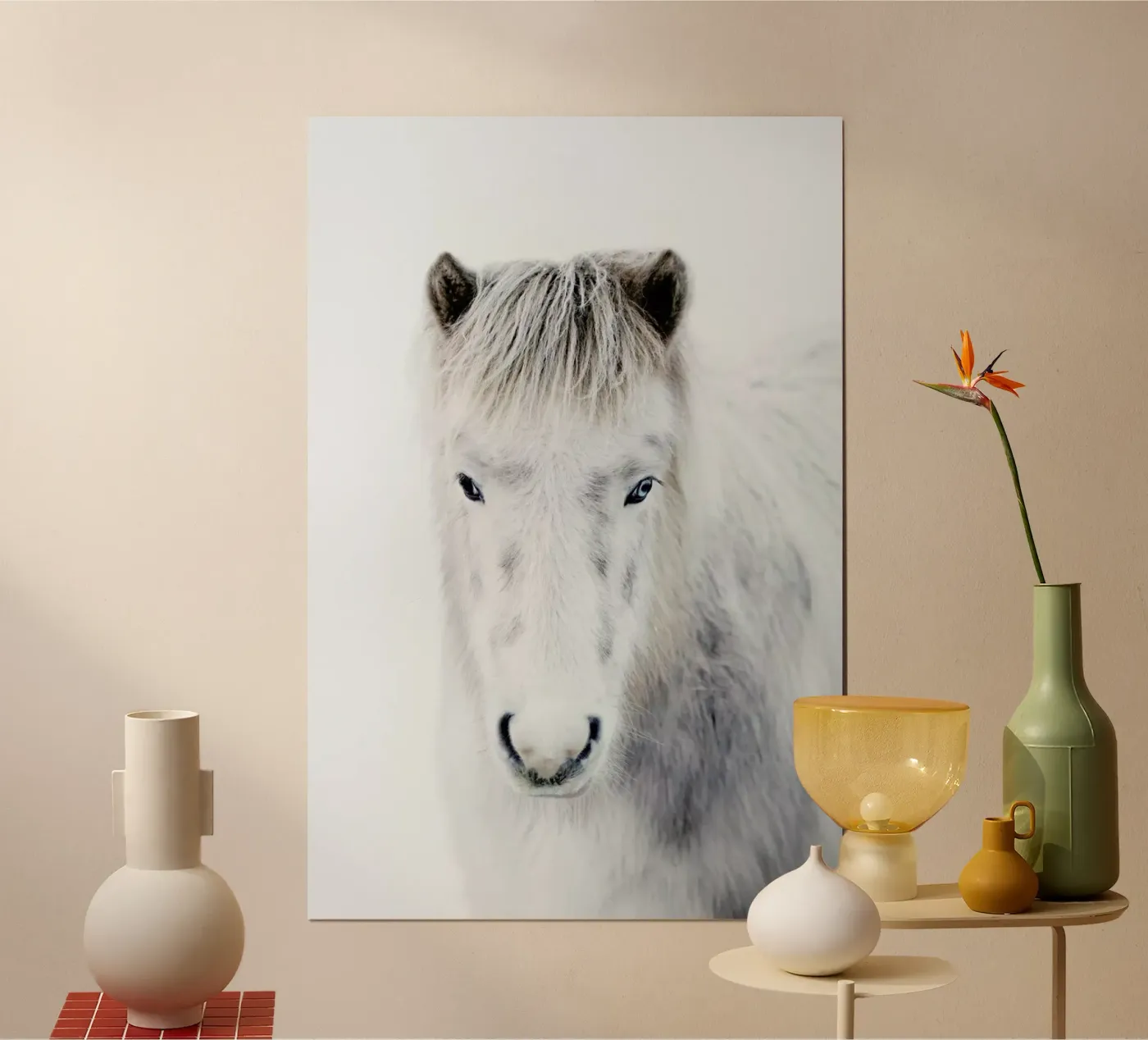 Ghost Horse poster da Natural Kingdom