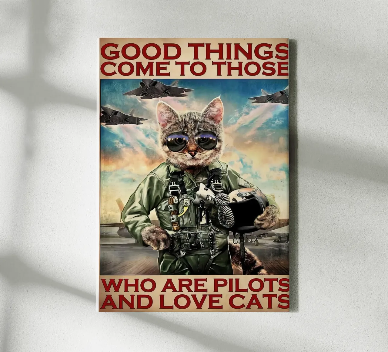 Gute Dinge kommen zu denen, die Piloten sind und Katzen lieben Leinwand mit Schattenfugenrahmen von Aaronshop