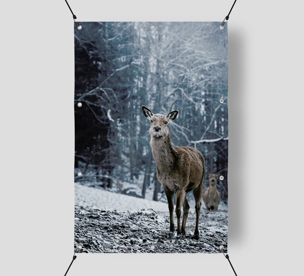 The Snap of a Twig @nilsleithold telo in pvc da EyeEm Mobile GmbH