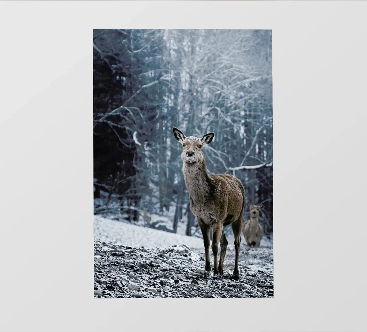 The Snap of a Twig @nilsleithold telo in pvc da EyeEm Mobile GmbH