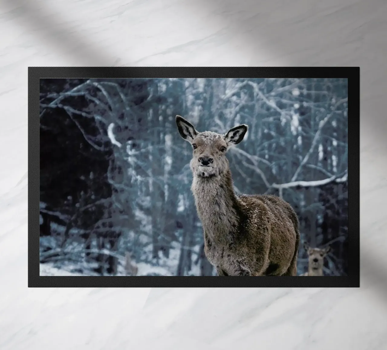 The Snap of a Twig @nilsleithold zerbino da EyeEm Mobile GmbH