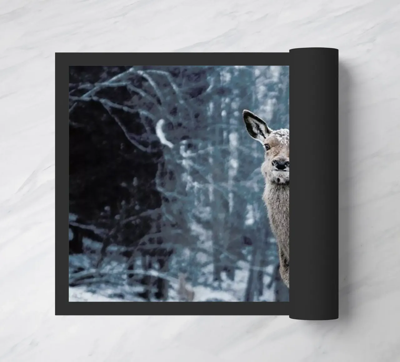 The Snap of a Twig @nilsleithold zerbino da EyeEm Mobile GmbH