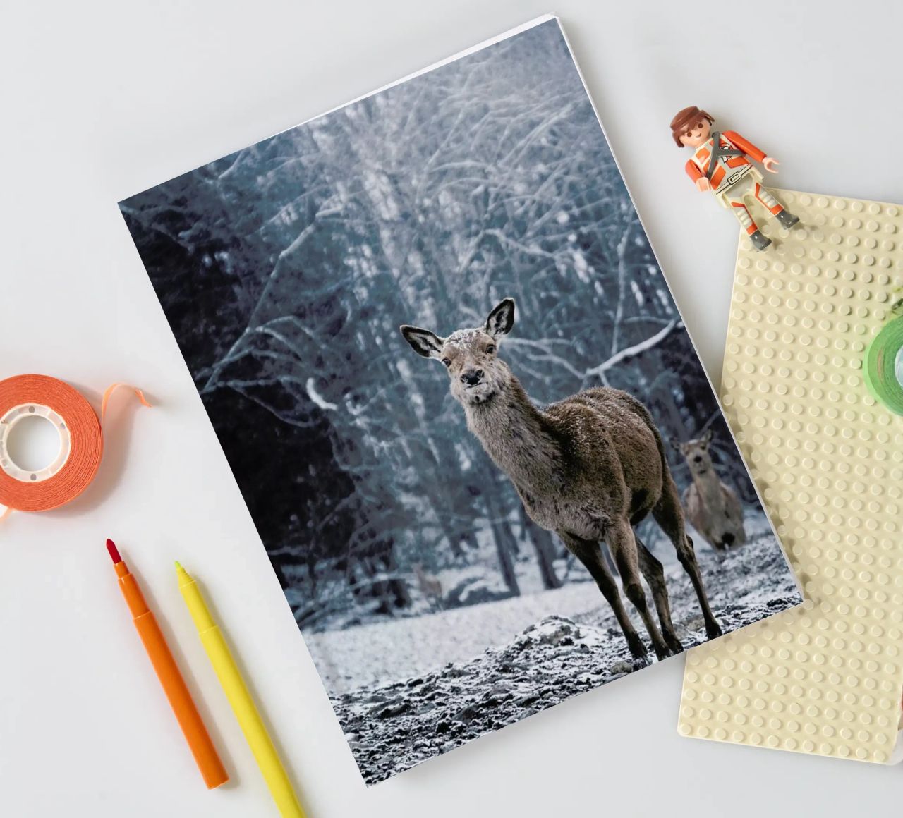 The Snap of a Twig @nilsleithold notebook by EyeEm Mobile GmbH