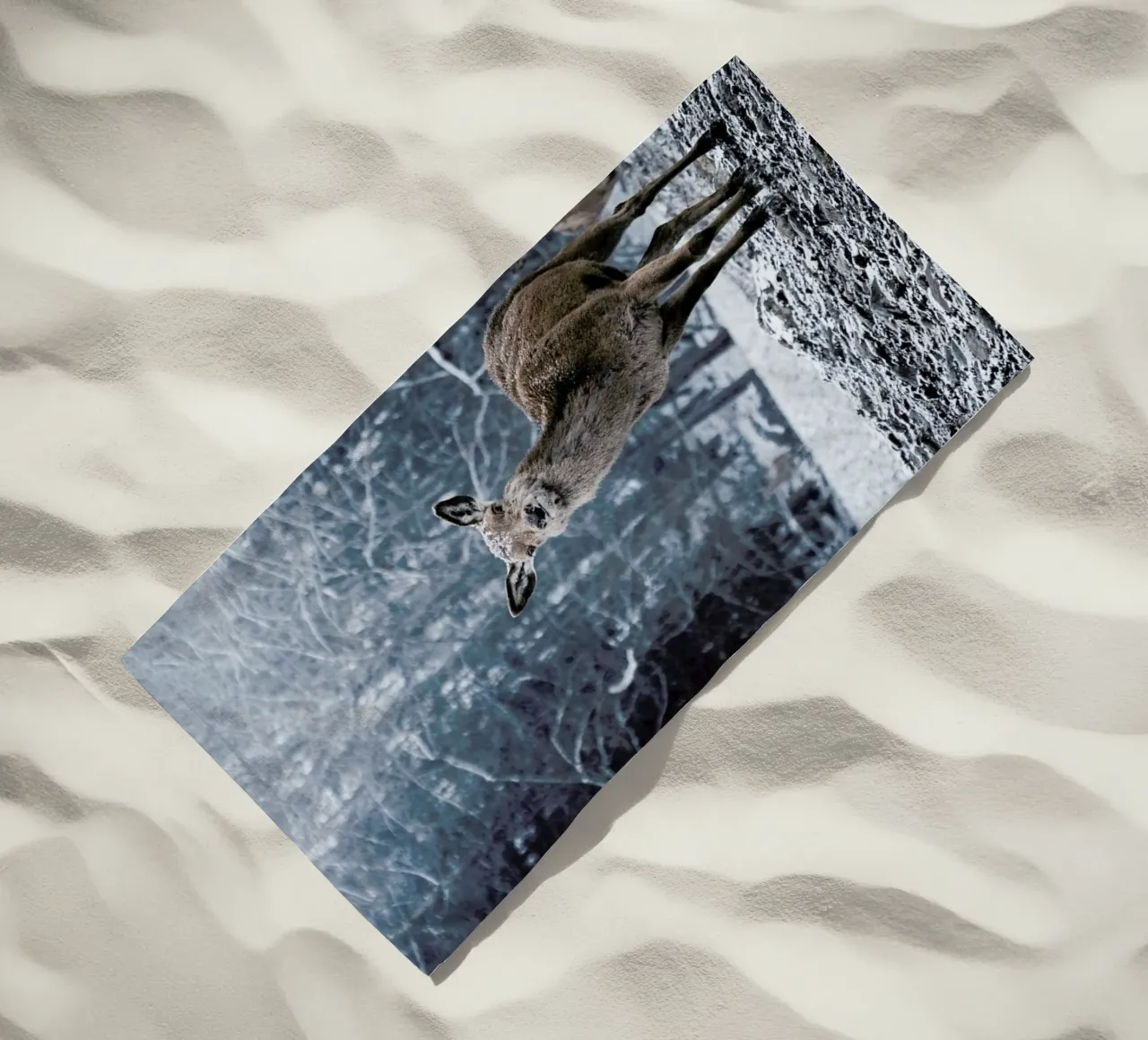 The Snap of a Twig @nilsleithold telo mare da EyeEm Mobile GmbH