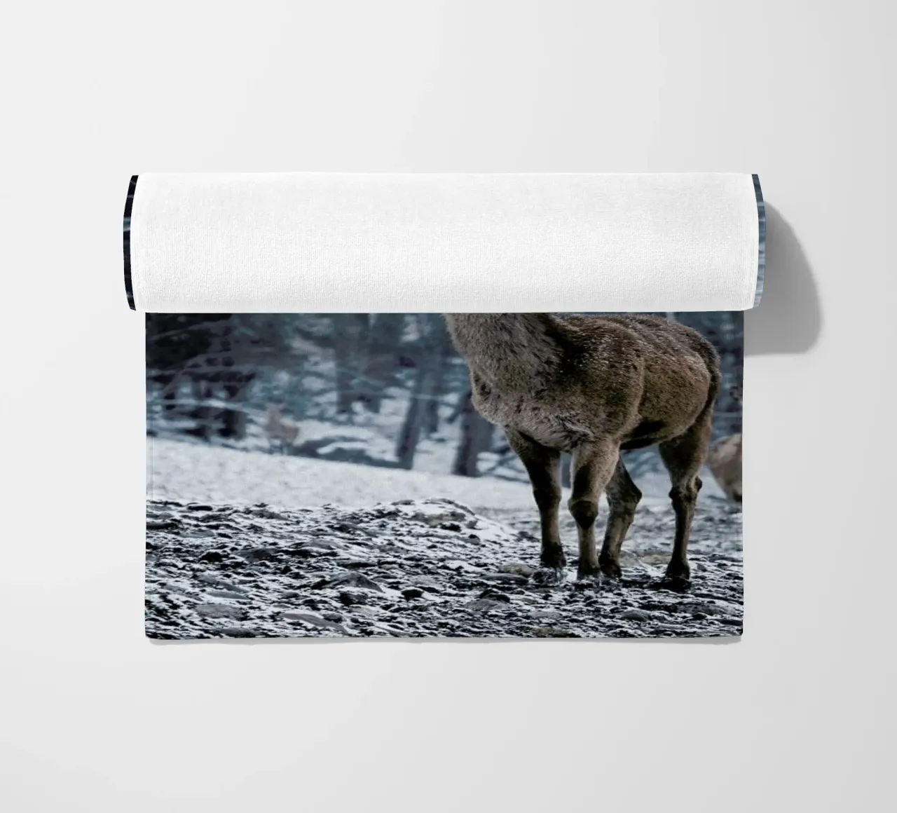 The Snap of a Twig @nilsleithold telo mare da EyeEm Mobile GmbH