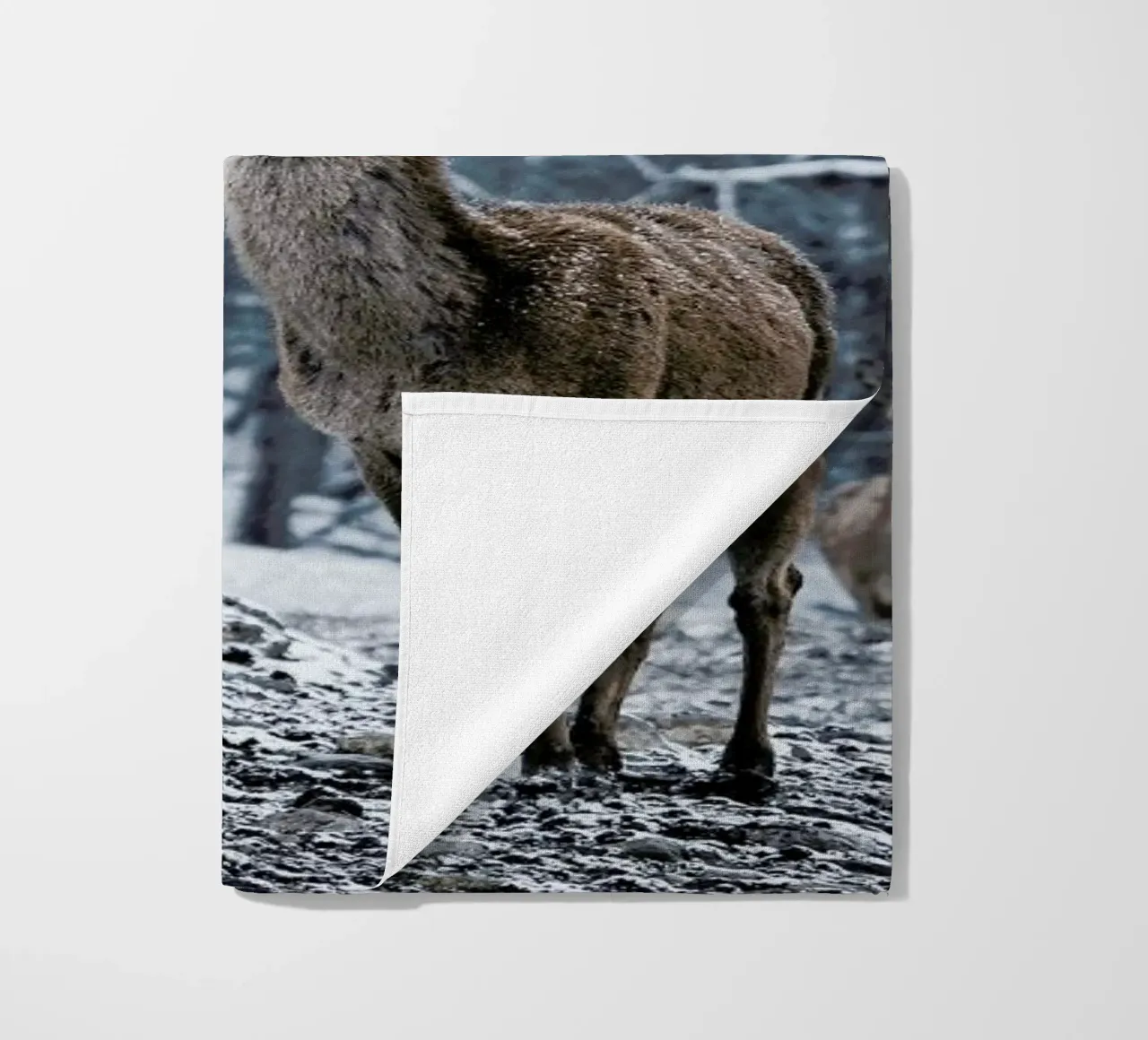 The Snap of a Twig @nilsleithold telo mare da EyeEm Mobile GmbH