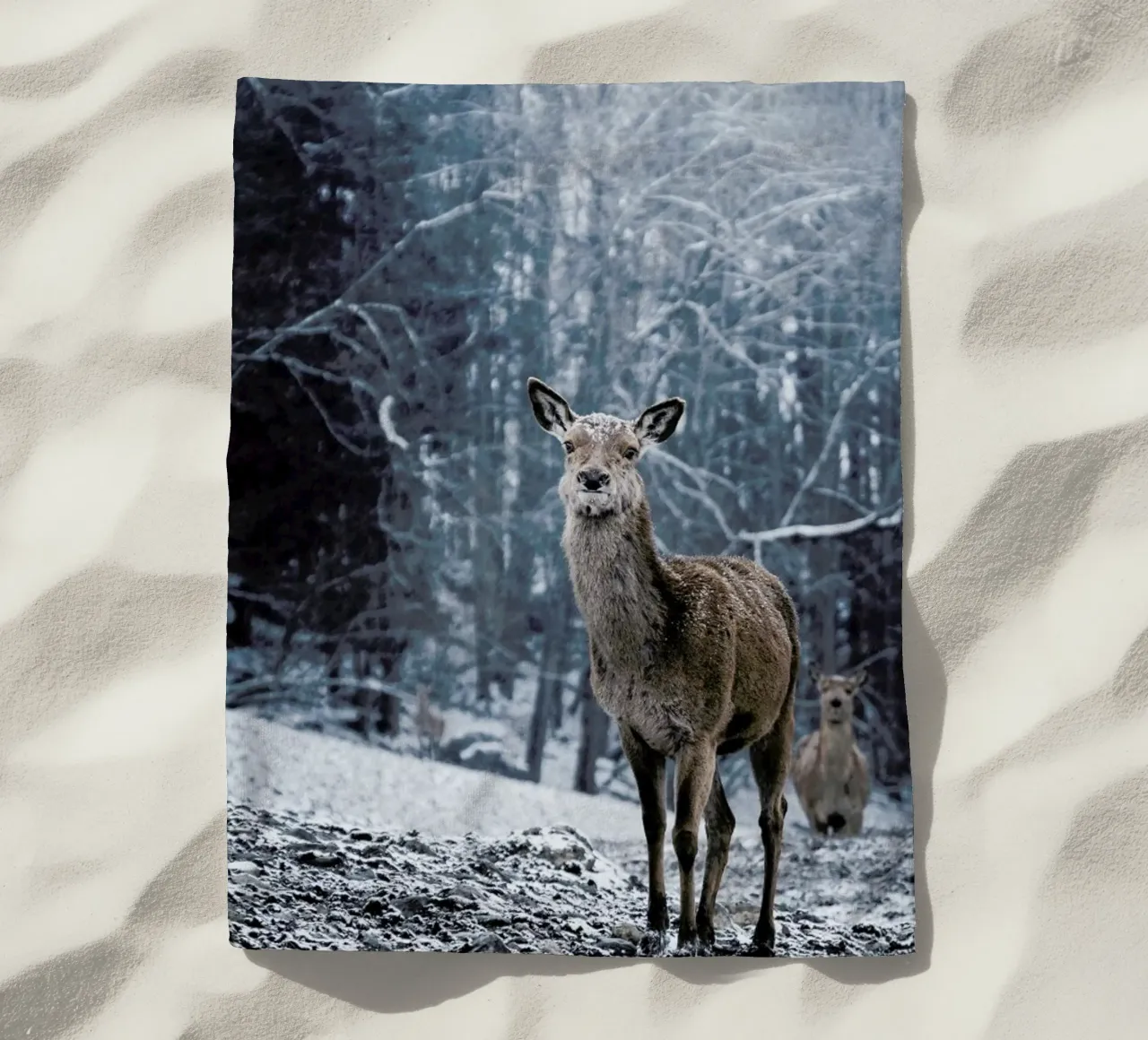 The Snap of a Twig @nilsleithold telo mare da EyeEm Mobile GmbH