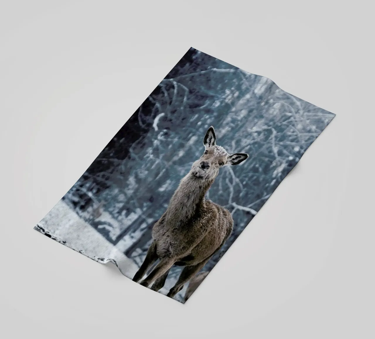 The Snap of a Twig @nilsleithold telo mare da EyeEm Mobile GmbH