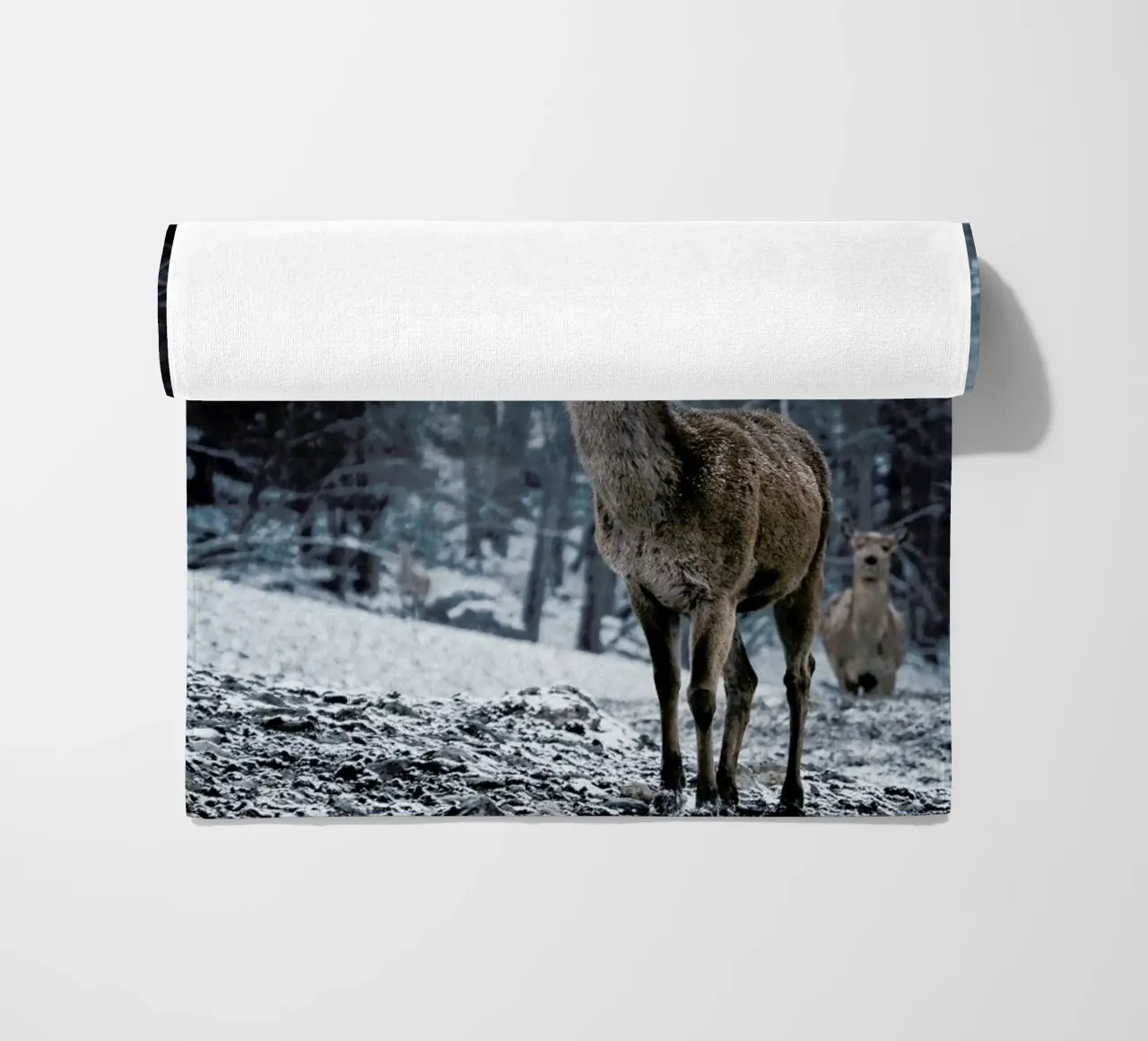 The Snap of a Twig @nilsleithold telo mare da EyeEm Mobile GmbH