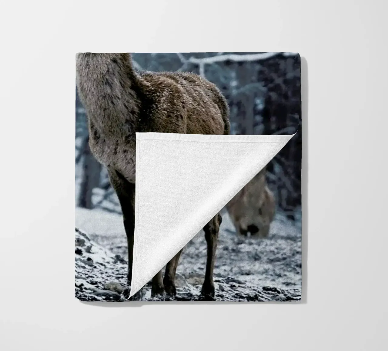 The Snap of a Twig @nilsleithold telo mare da EyeEm Mobile GmbH