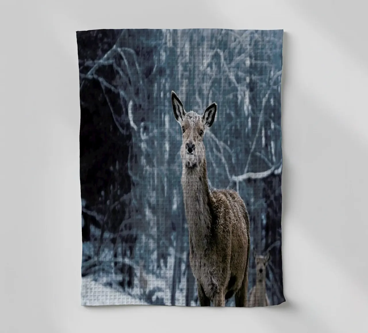 The Snap of a Twig @nilsleithold canovaccio da cucina da EyeEm Mobile GmbH