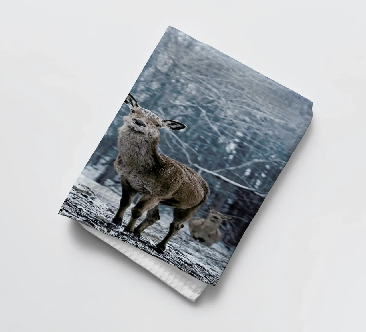 The Snap of a Twig @nilsleithold canovaccio da cucina da EyeEm Mobile GmbH