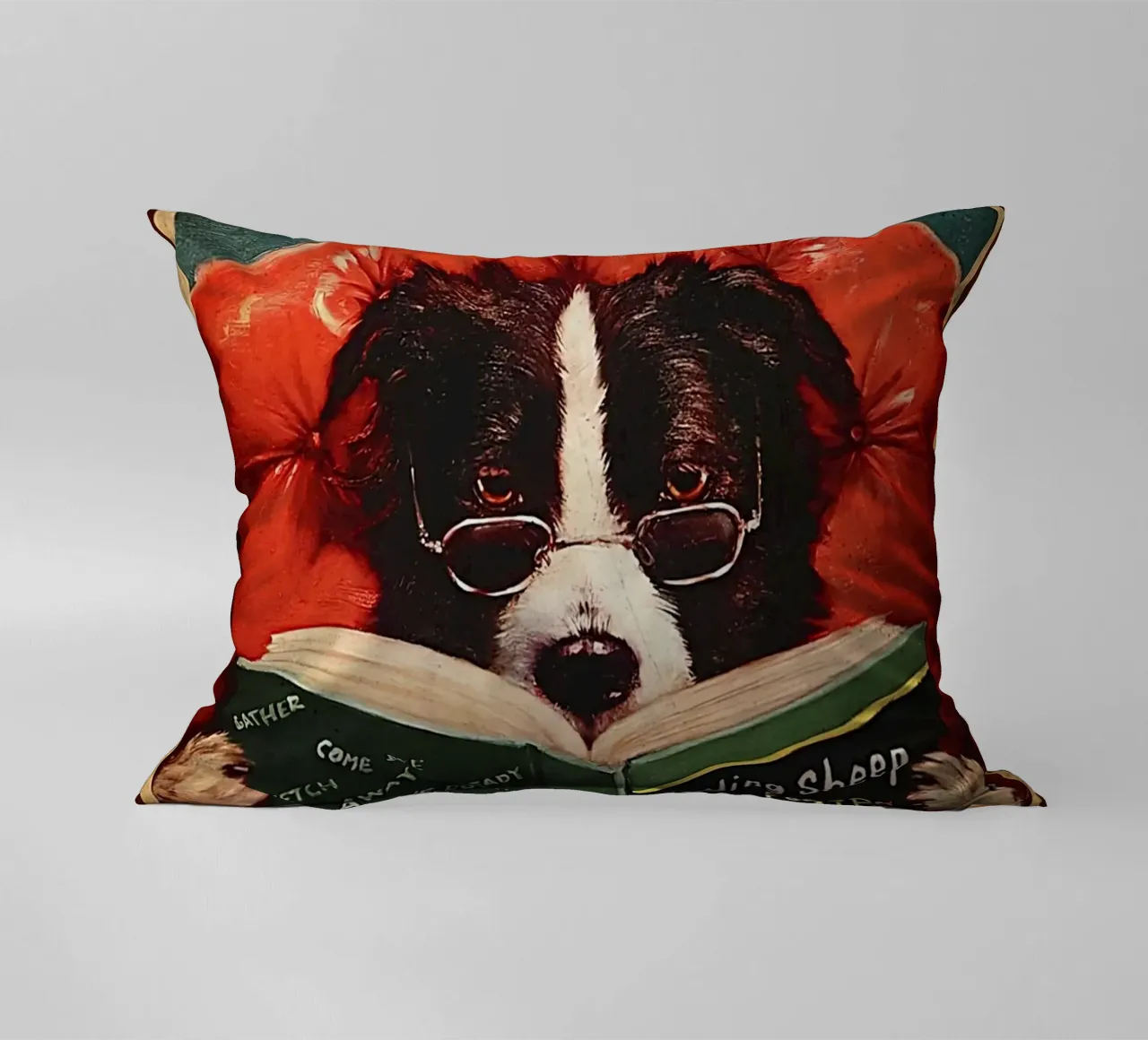 Cane Leggo il libro e so le cose cuscino da Aaronshop