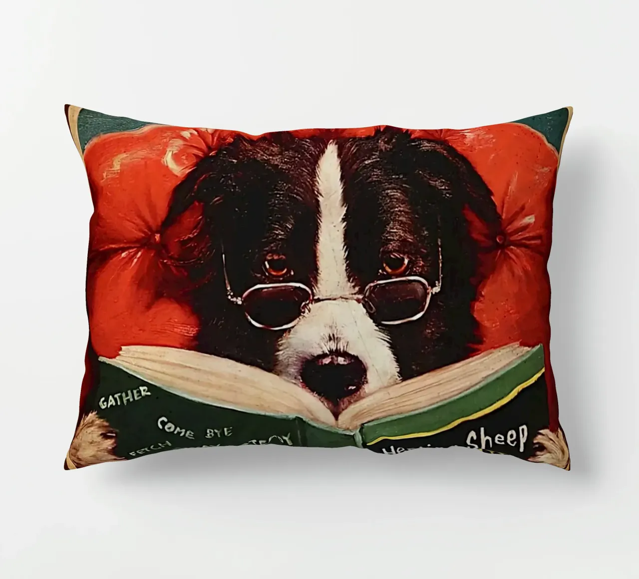 Cane Leggo il libro e so le cose cuscino da Aaronshop