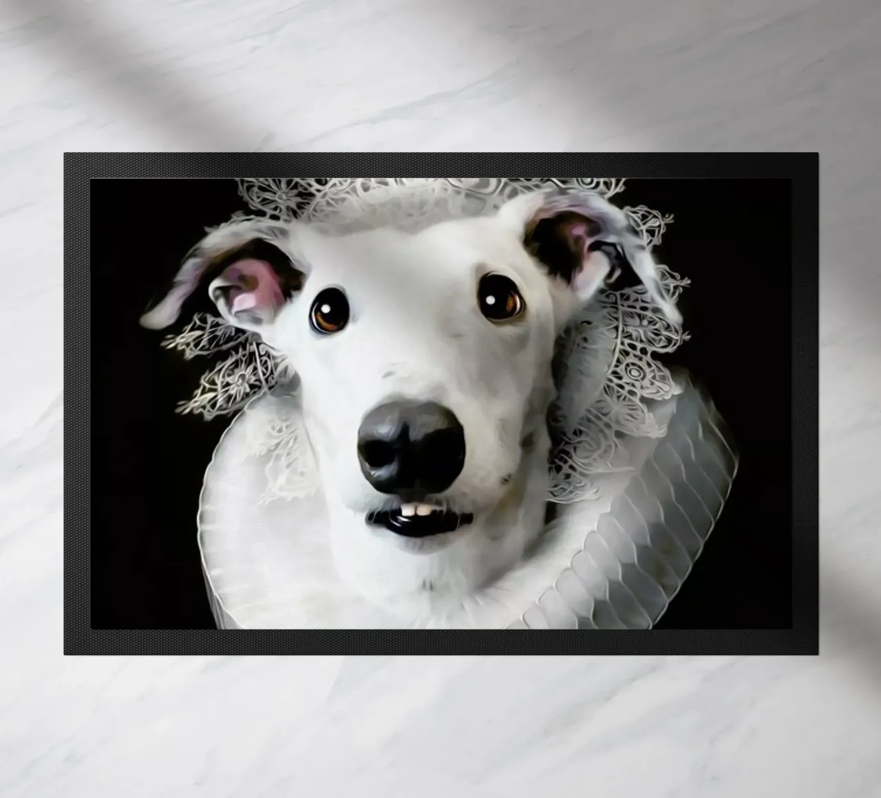 Salty zerbino da Tein Lucasson