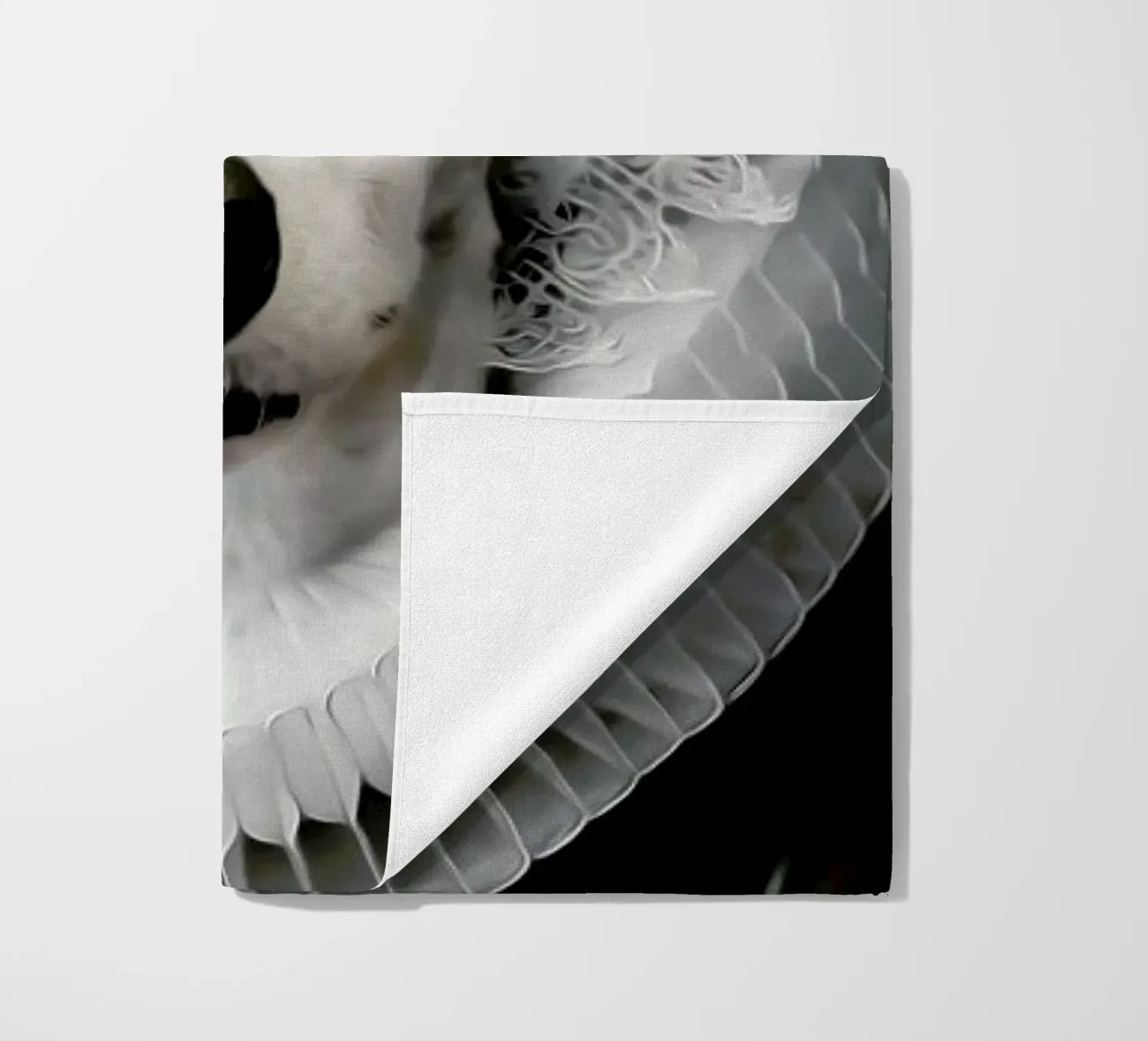 Salty telo mare da Tein Lucasson