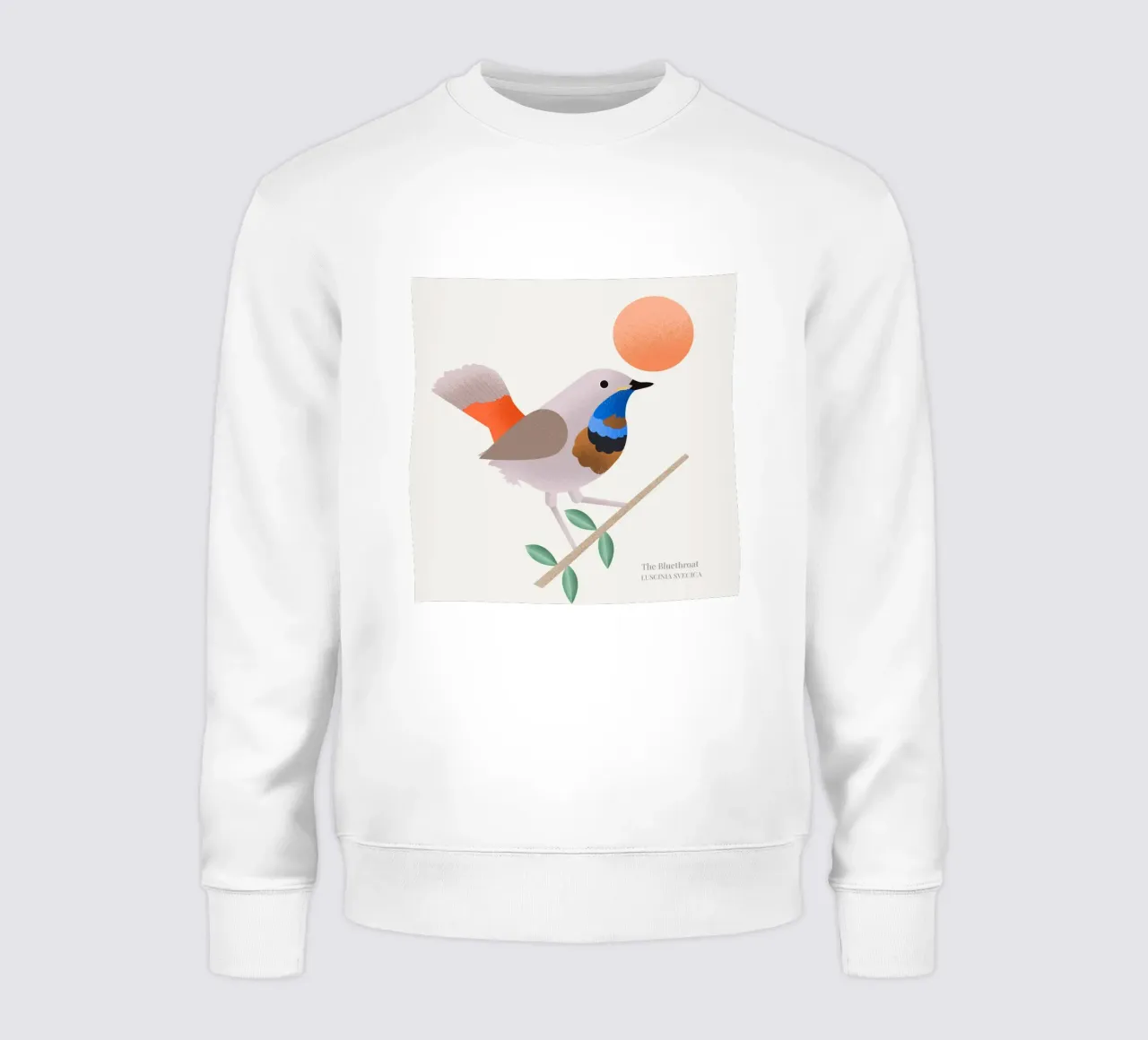 The Bluethroat sweatshirt by Dharma