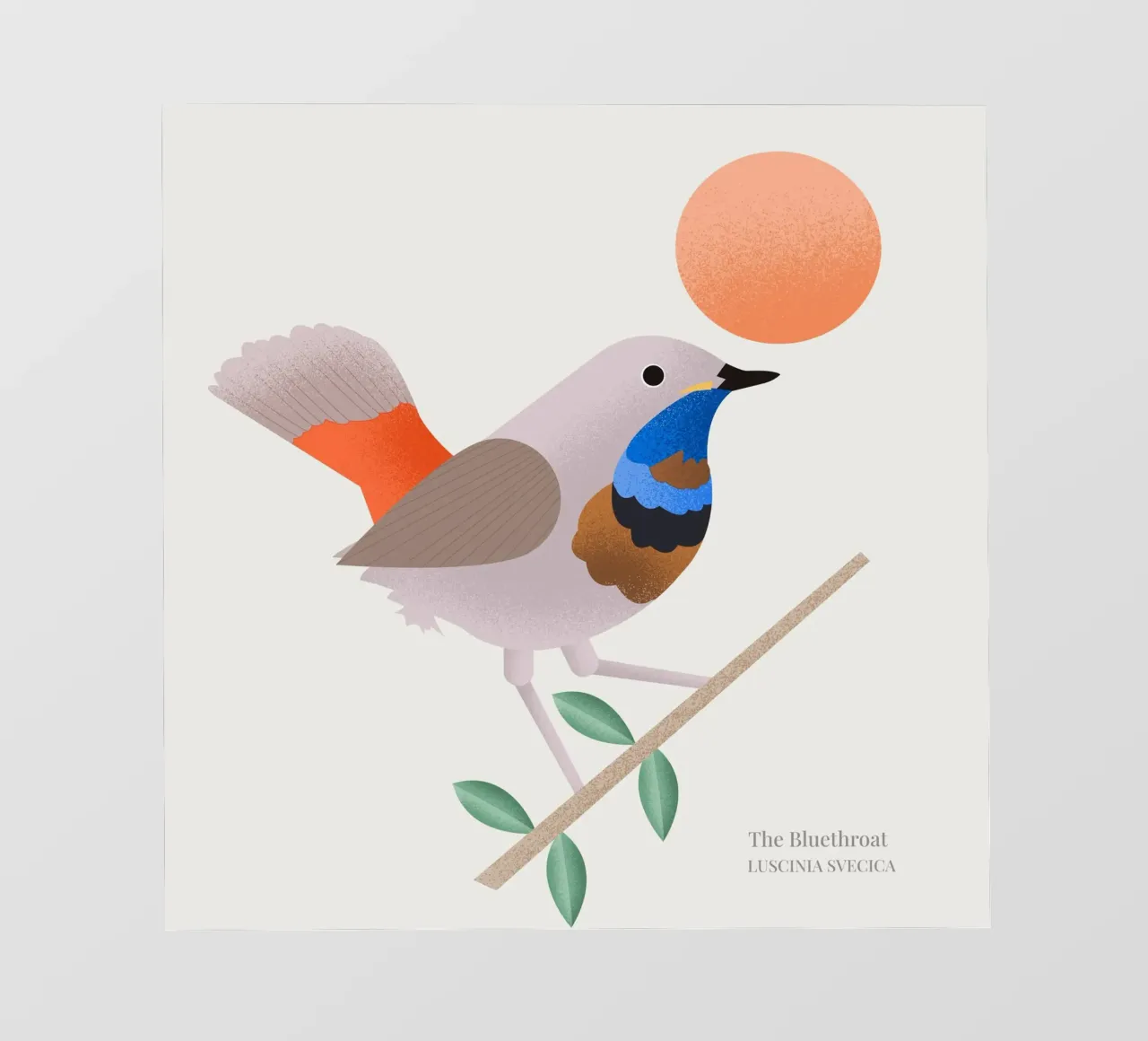 The Bluethroat telo in pvc da Dharma