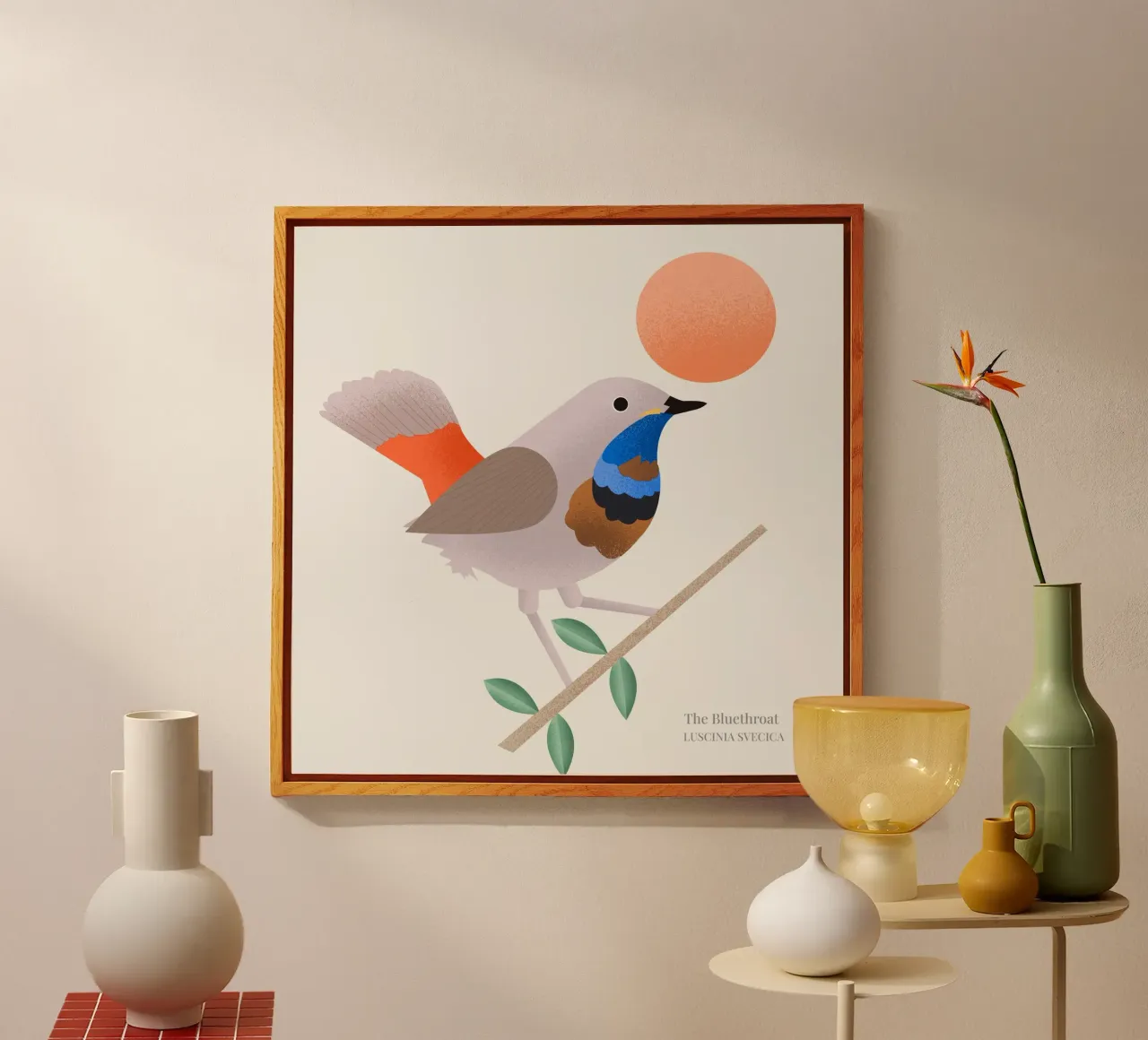 The Bluethroat plexiglass da Dharma