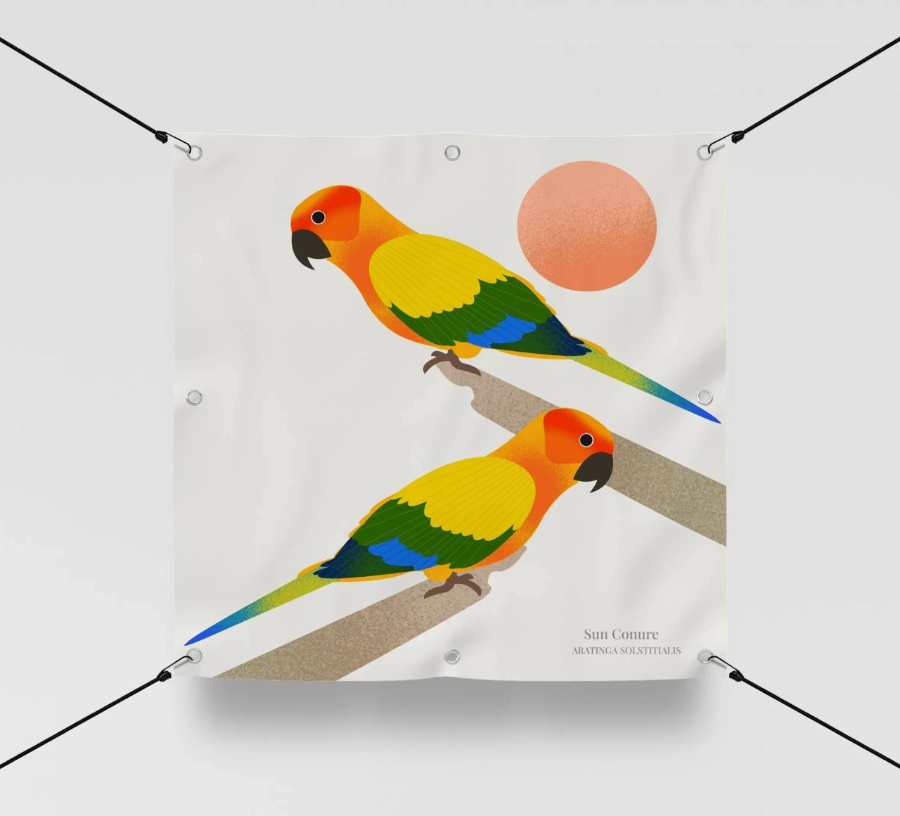 Sun Conure telo in pvc da Dharma