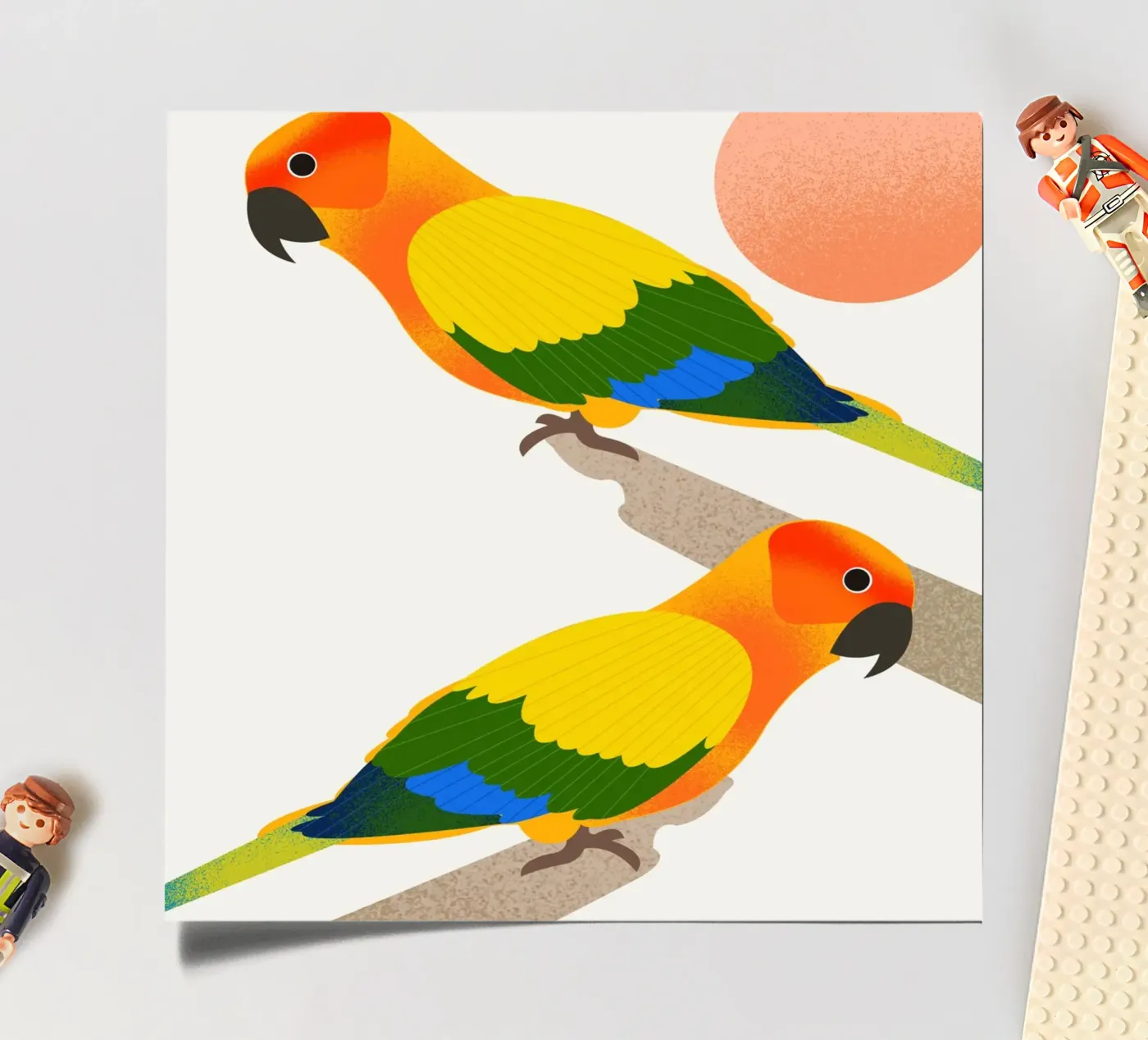 Sun Conure sticker sheet by Dharma