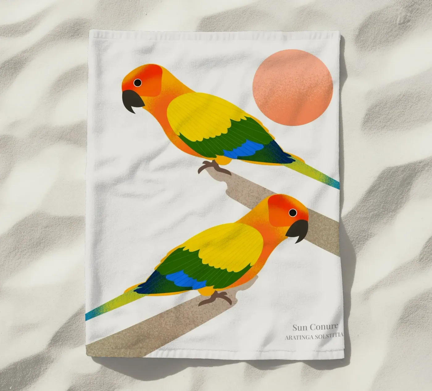 Sun Conure telo mare da Dharma