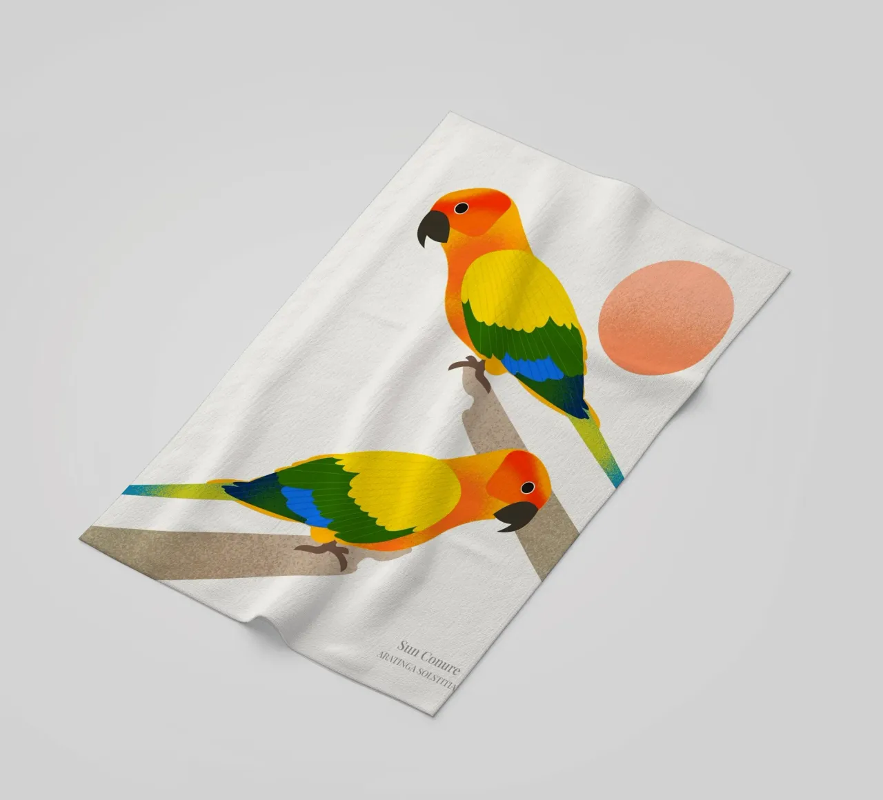 Sun Conure telo mare da Dharma