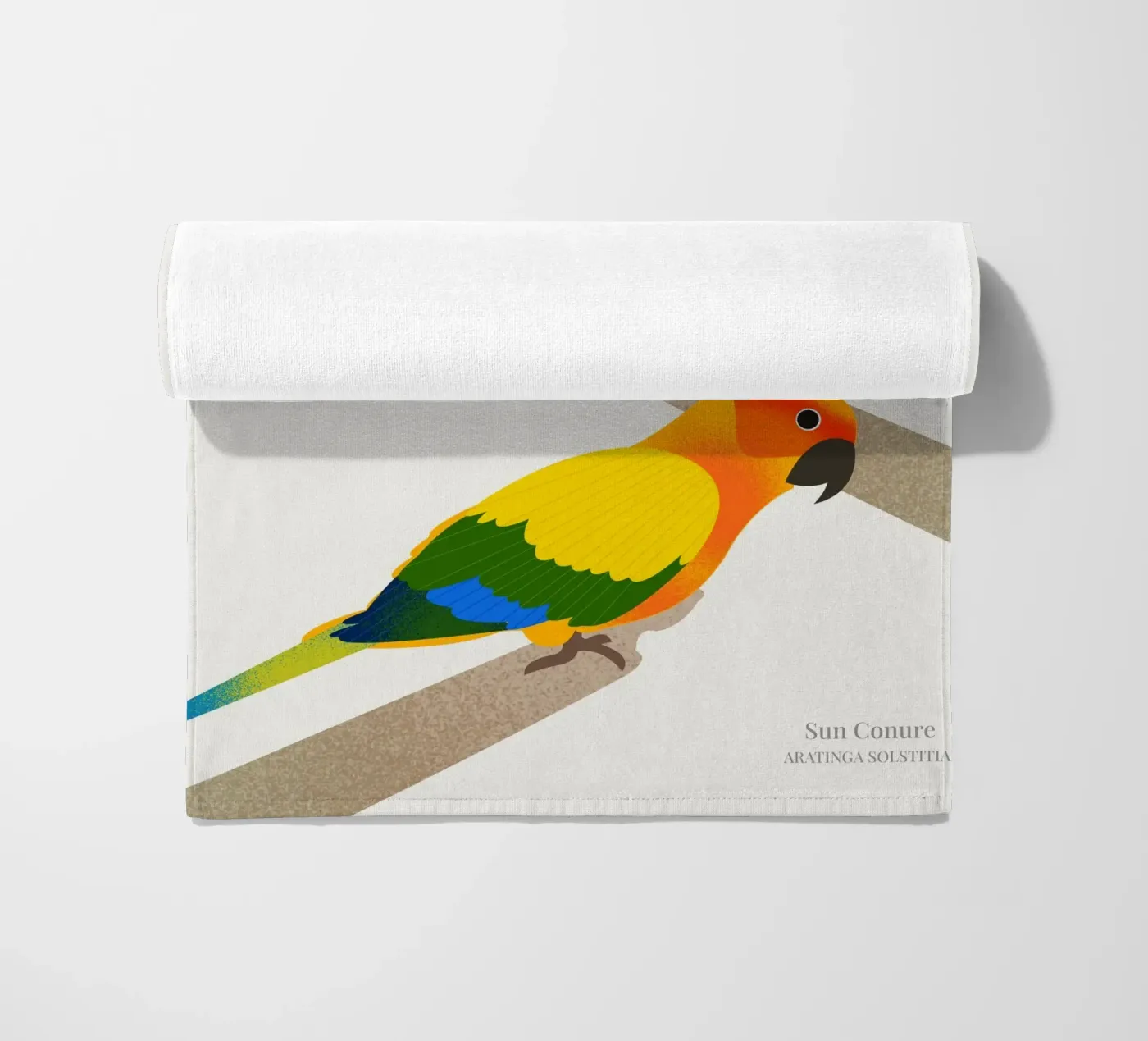 Sun Conure telo mare da Dharma