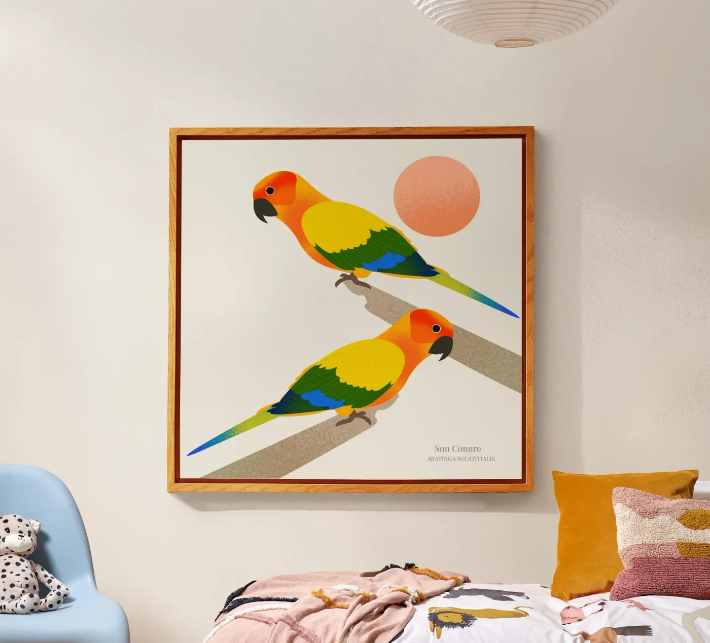 Sun Conure plexiglass da Dharma