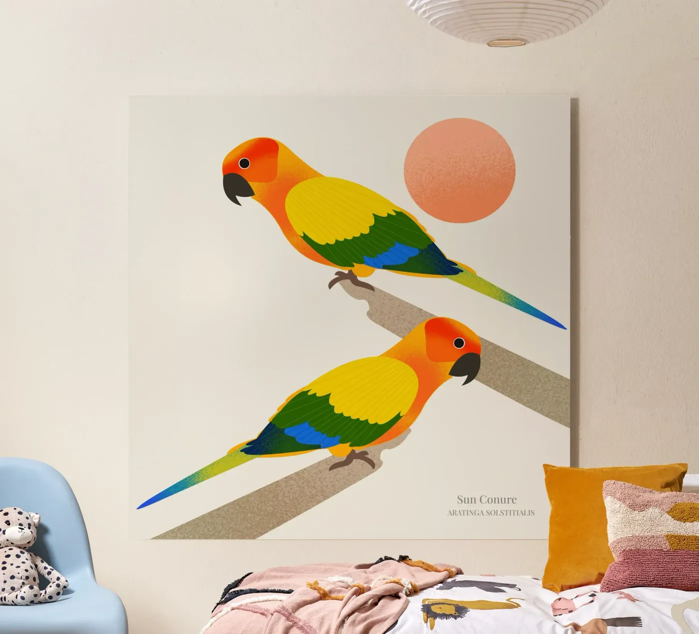 Sun Conure plexiglass da Dharma