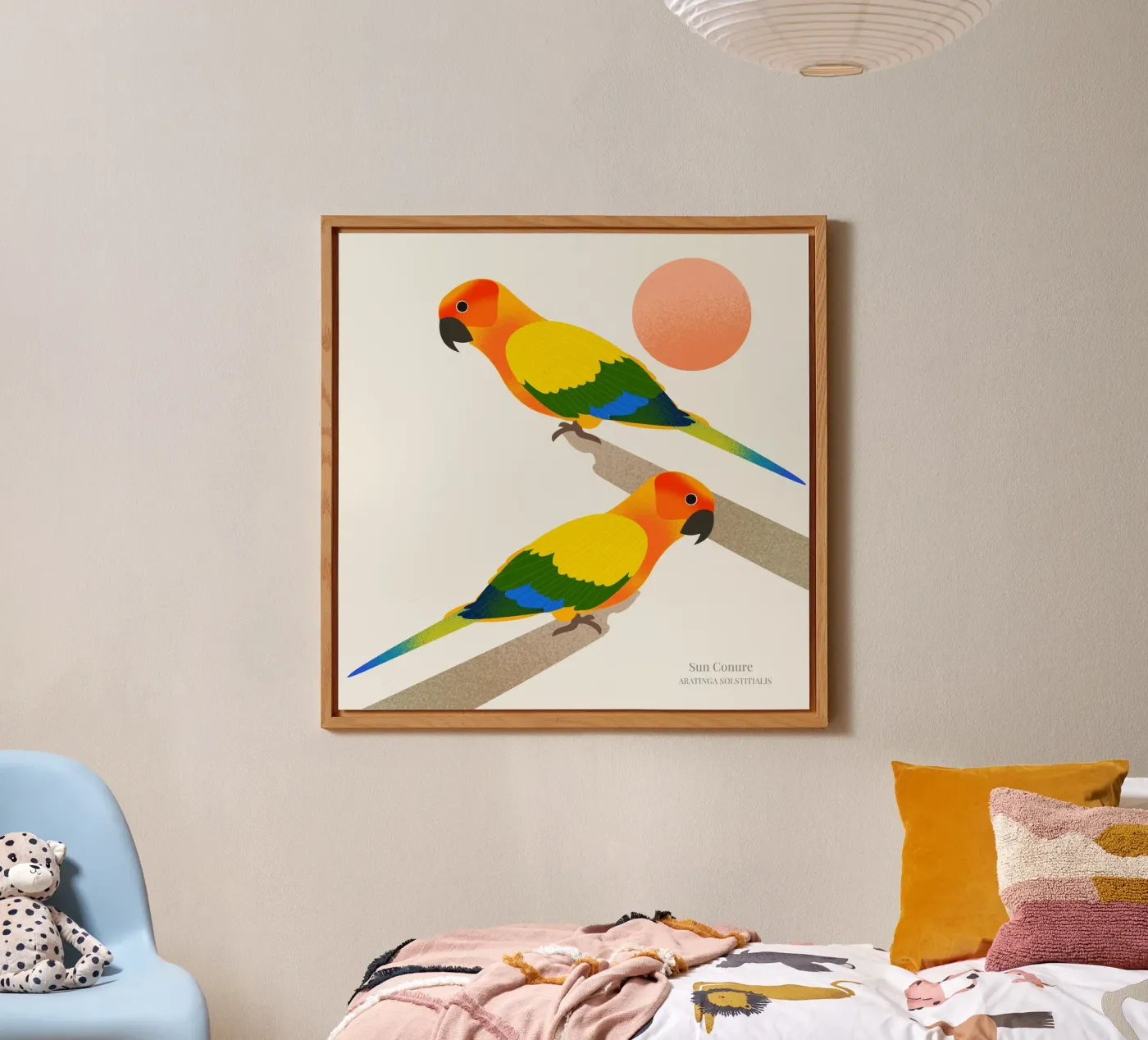 Sun Conure forex plate by Dharma
