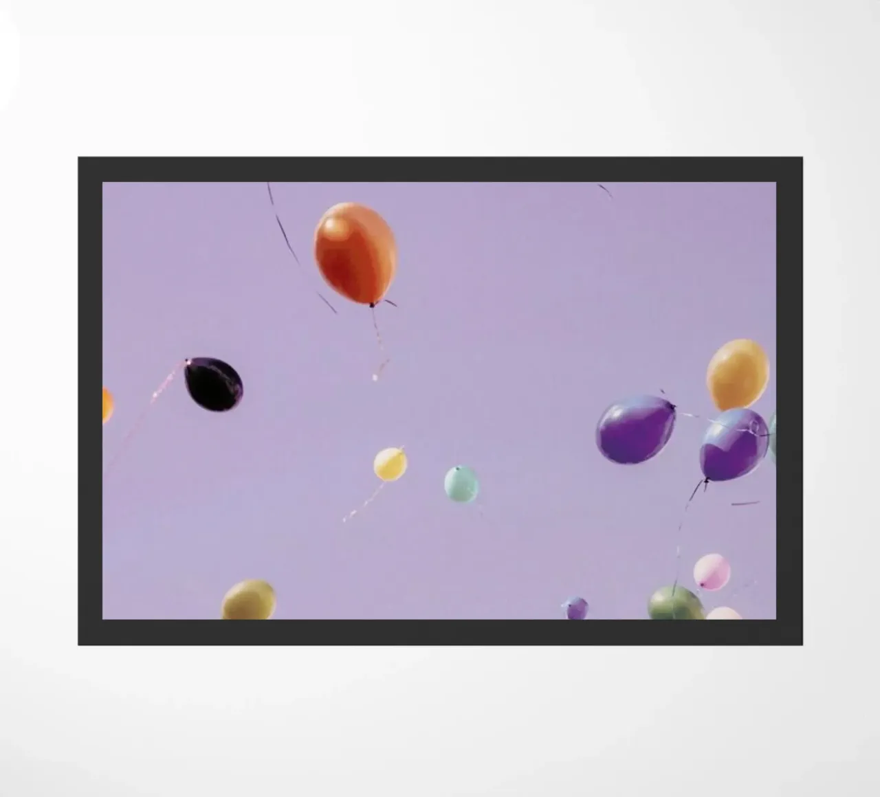 Flying Free zerbino da EyeEm Mobile GmbH