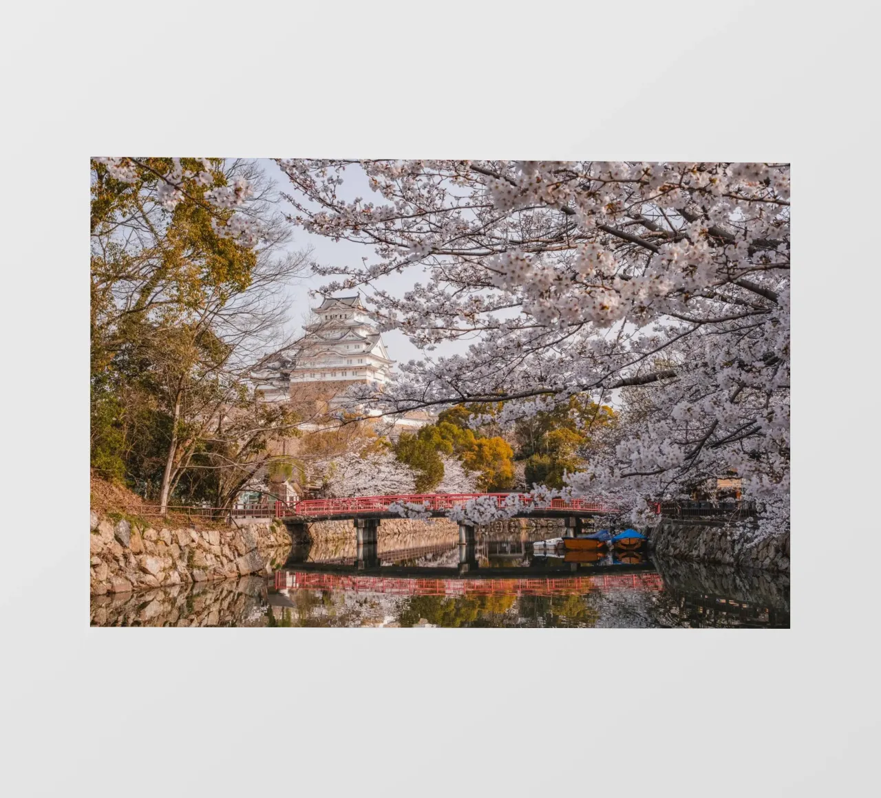 I ciliegi in fiore del castello di Himeji, Giappone telo in pvc da Marcel Bisig