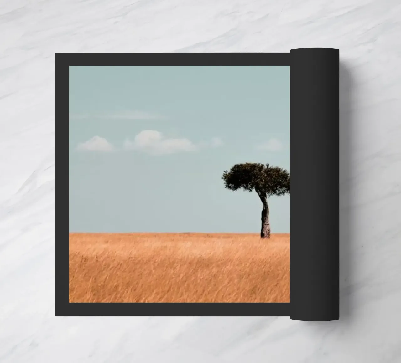 Savannah zerbino da EyeEm Mobile GmbH