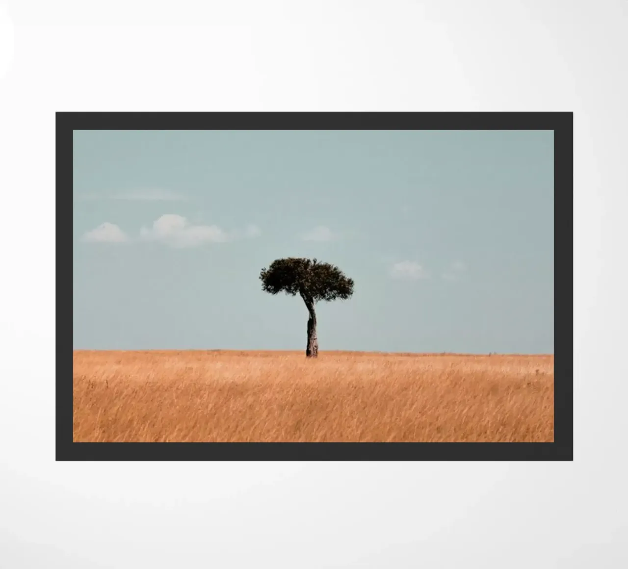 Savannah zerbino da EyeEm Mobile GmbH