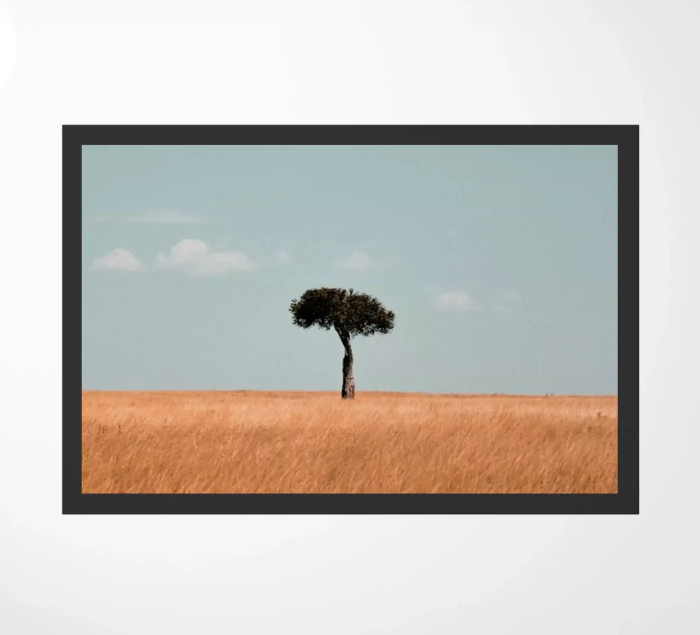 Savannah deurmat van EyeEm Mobile GmbH